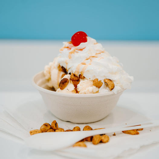 NEW Bee Sting Sundae at the MN State Fair Intro Photo